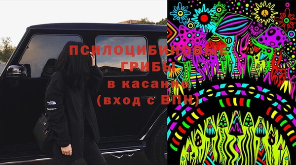 прущий лед Алзамай