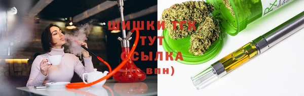 прущий лед Алзамай