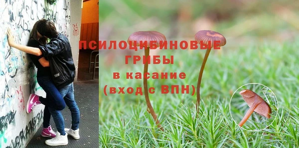 спиды Алексин