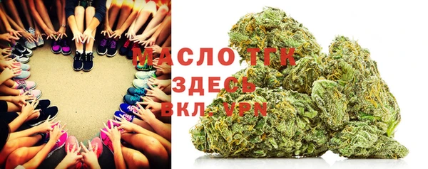 прущий лед Алзамай