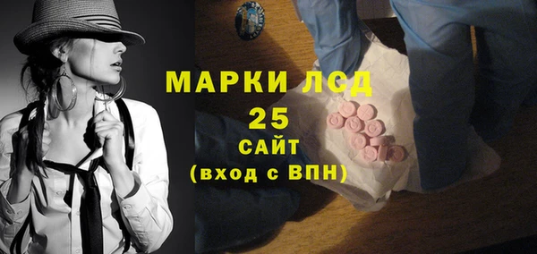 прущий лед Алзамай